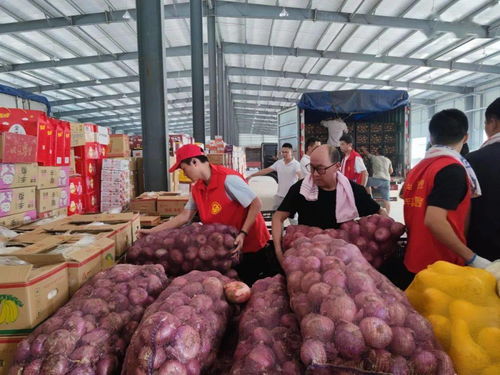 魯豫同心，蔬果傳情 聊城25噸新鮮蔬果馳援河南