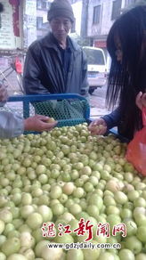 春暖果香價更親，應季鮮果正當時