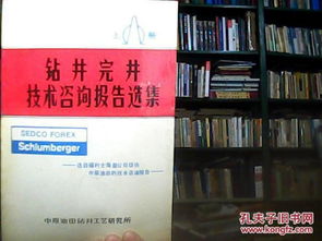 鉆井完井技術(shù)咨詢報(bào)告選集（上冊(cè)） 核心技術(shù)與實(shí)踐應(yīng)用